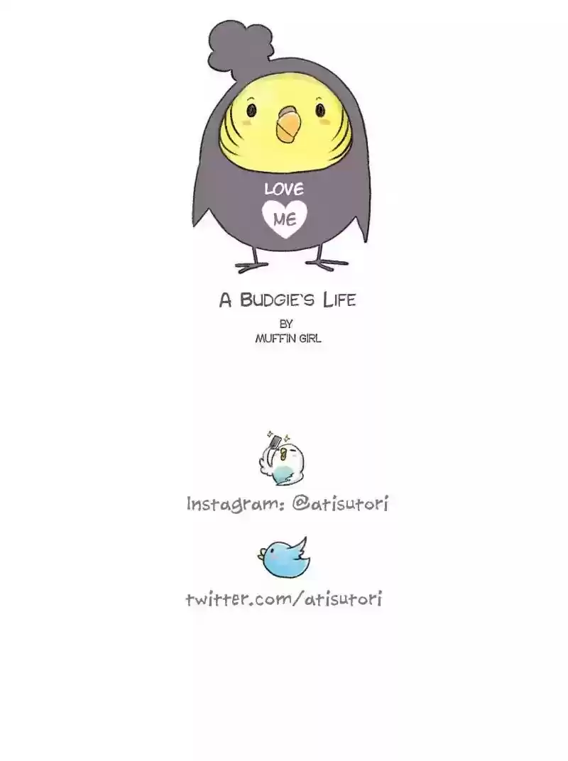 A Budgie's Life Chapter 67: Ep.67: