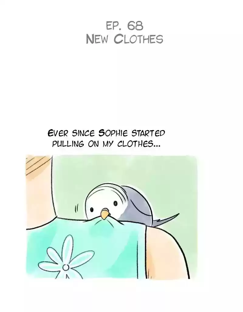 A Budgie's Life Chapter 68: Ep.68: