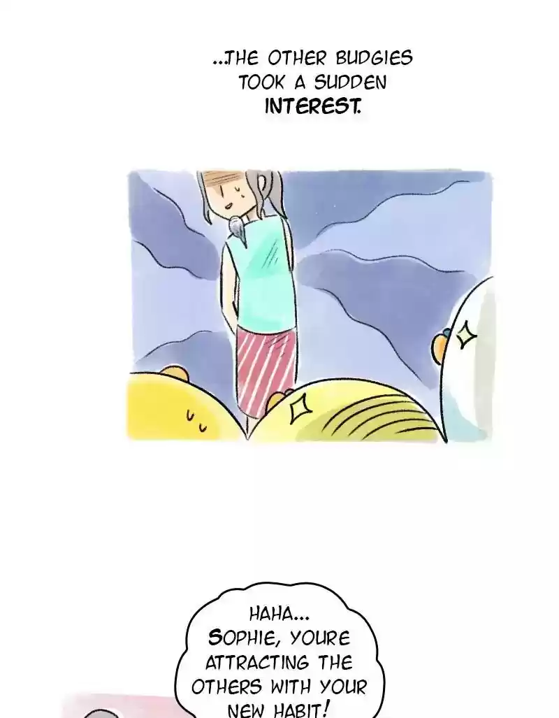 A Budgie's Life Chapter 68: Ep.68: