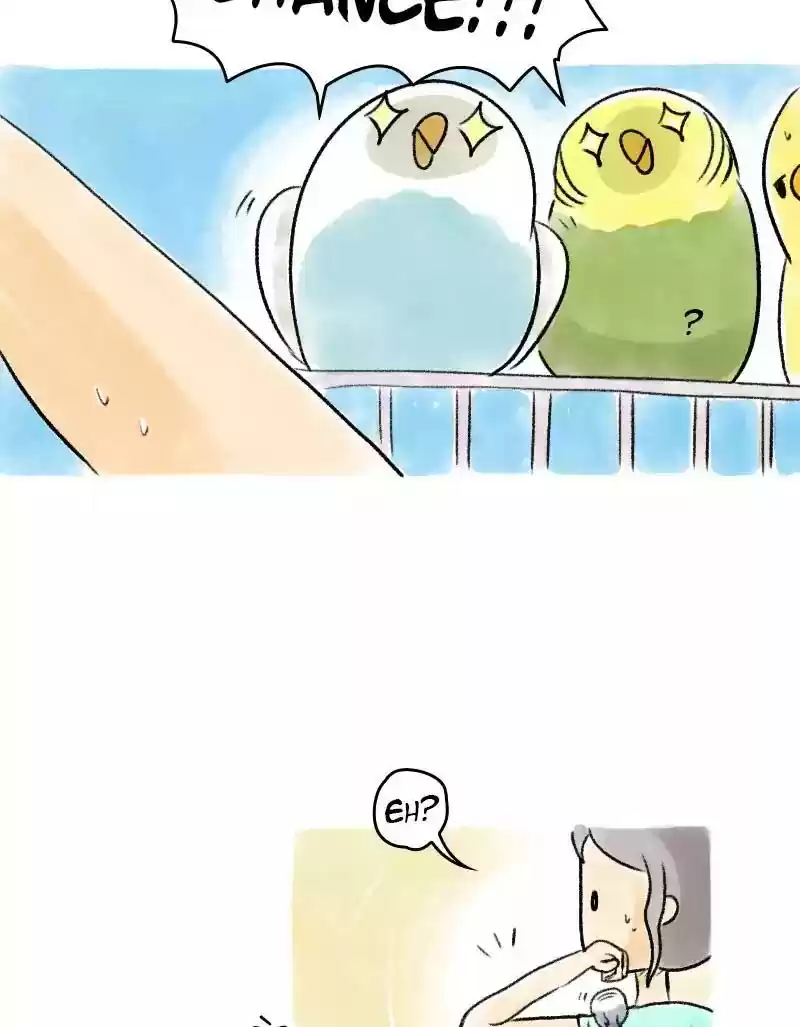 A Budgie's Life Chapter 68: Ep.68: