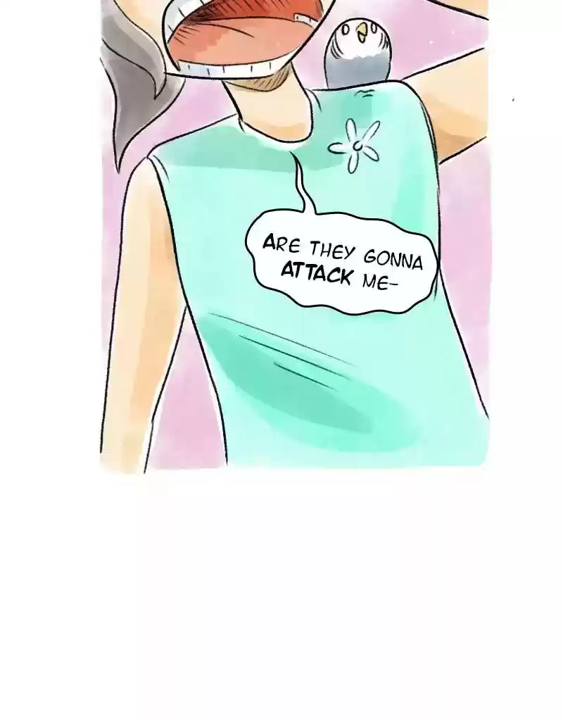 A Budgie's Life Chapter 68: Ep.68: