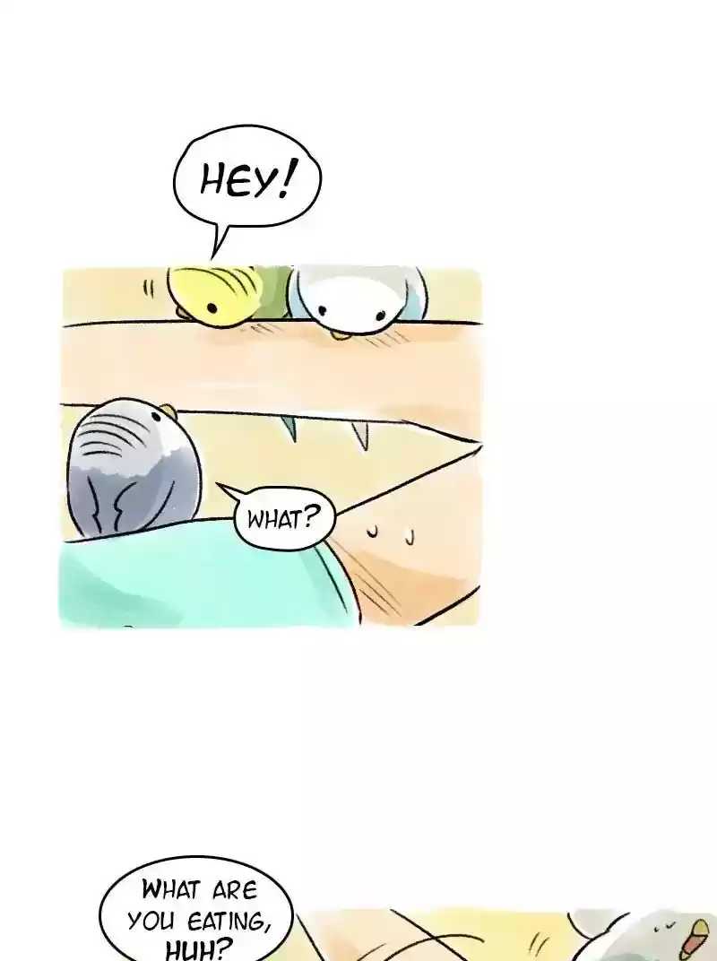 A Budgie's Life Chapter 68: Ep.68: