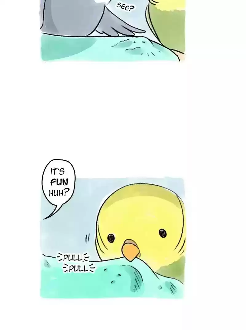 A Budgie's Life Chapter 68: Ep.68: