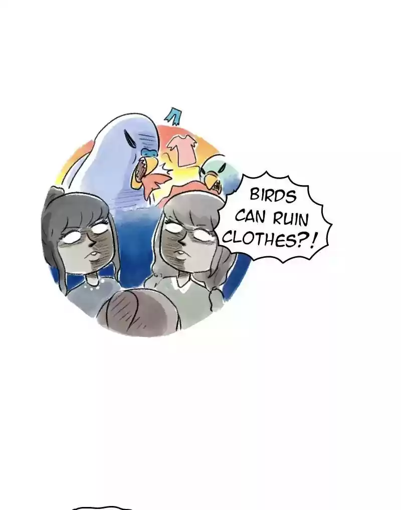 A Budgie's Life Chapter 68: Ep.68: