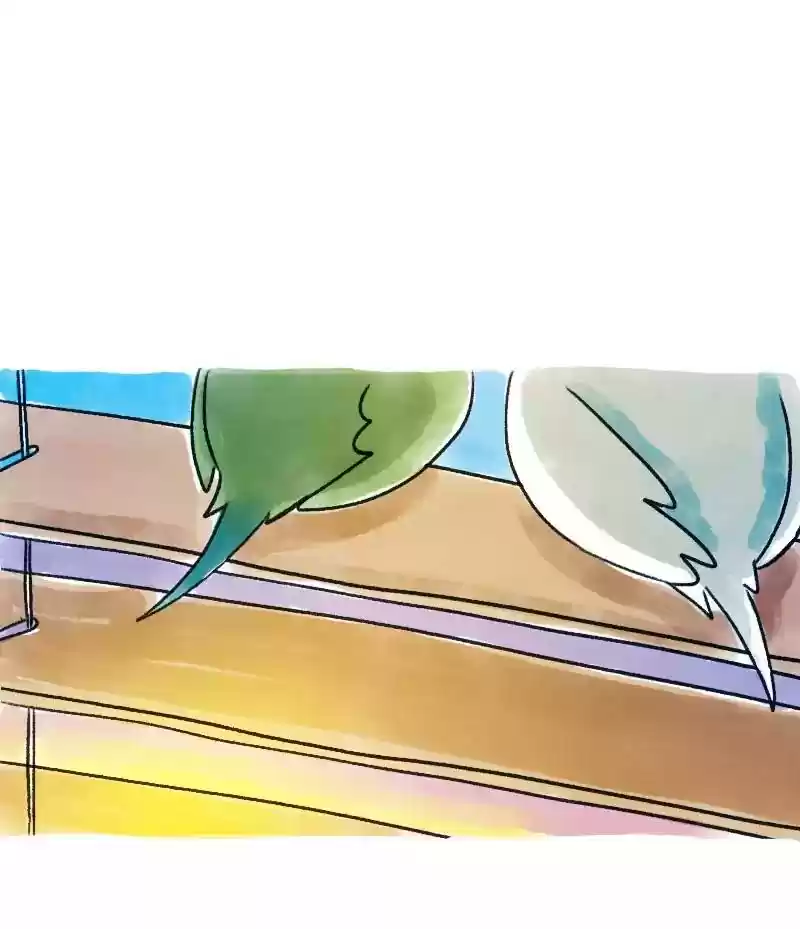 A Budgie's Life Chapter 69: Ep.69: