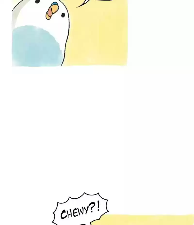 A Budgie's Life Chapter 69: Ep.69:
