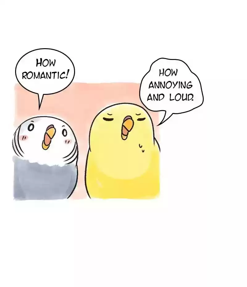 A Budgie's Life Chapter 69: Ep.69: