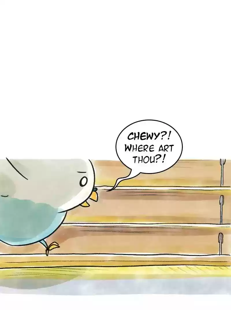 A Budgie's Life Chapter 69: Ep.69: