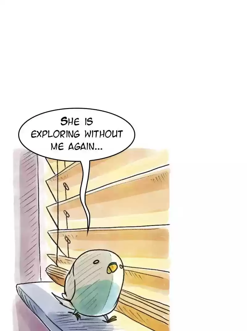 A Budgie's Life Chapter 69: Ep.69: