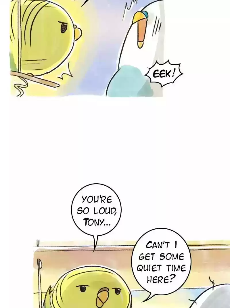 A Budgie's Life Chapter 69: Ep.69: