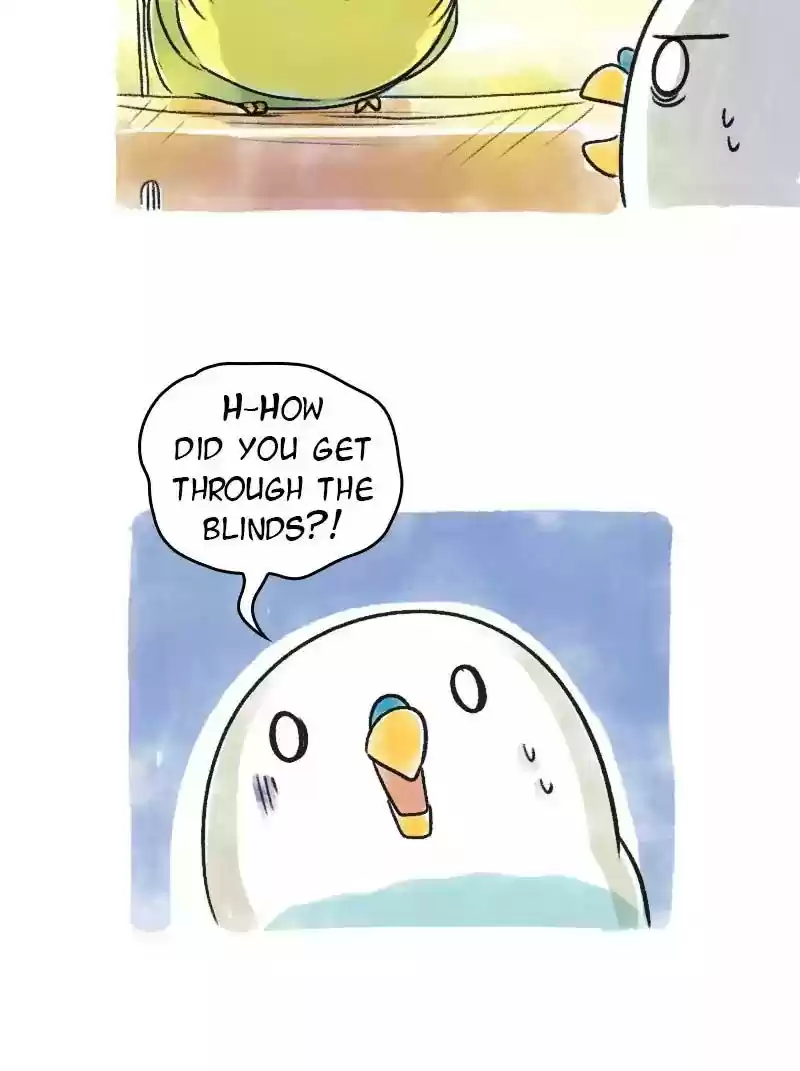 A Budgie's Life Chapter 69: Ep.69: