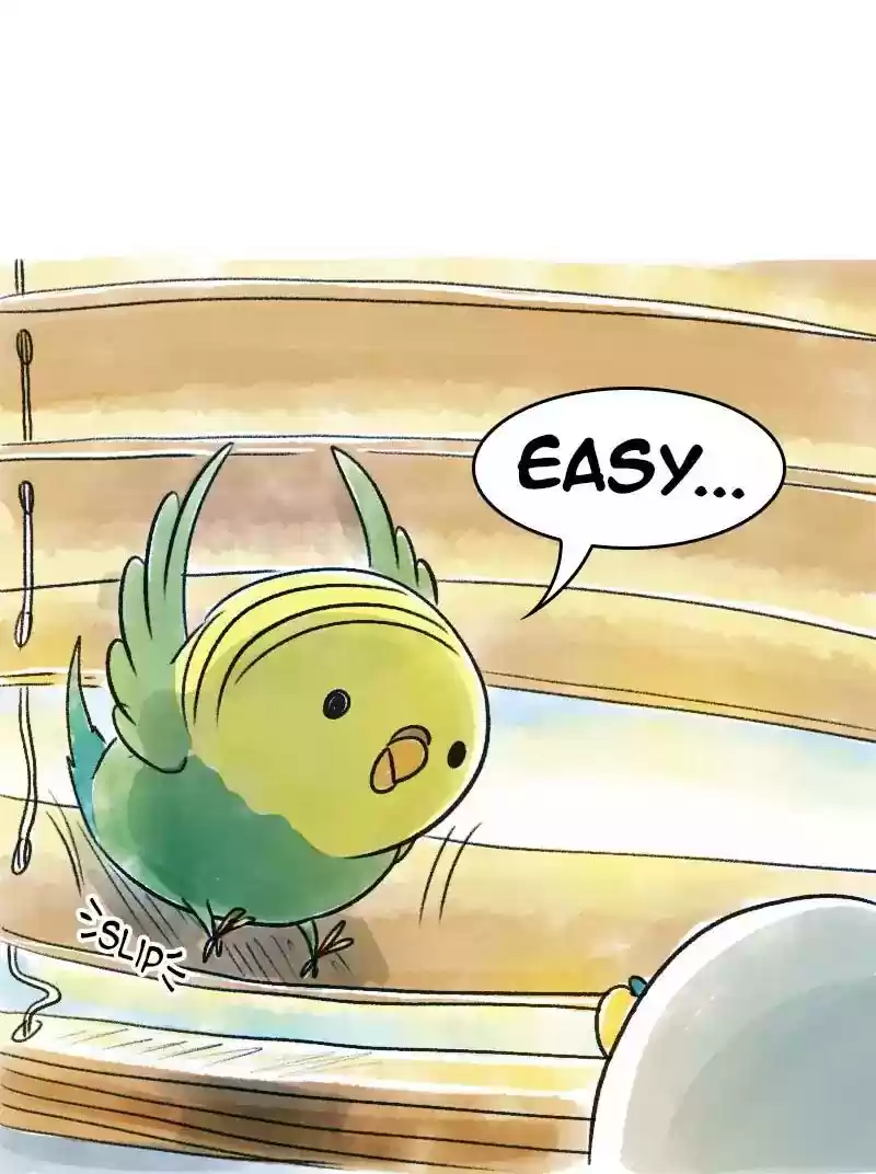 A Budgie's Life Chapter 69: Ep.69: