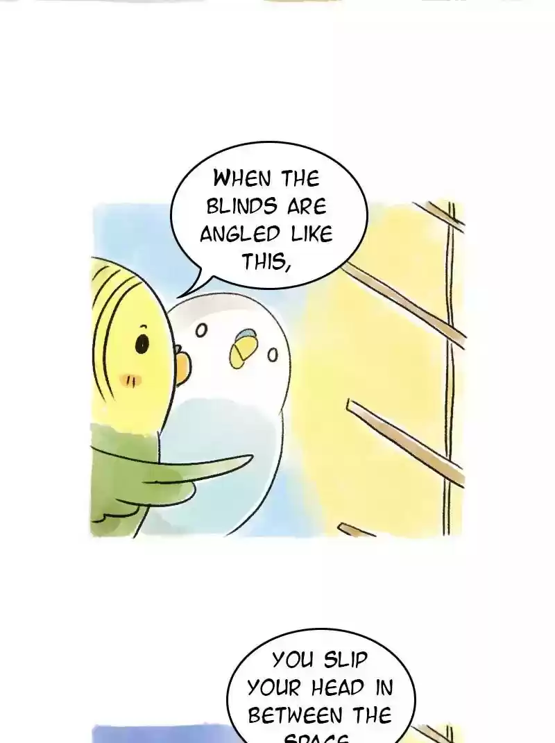 A Budgie's Life Chapter 69: Ep.69: