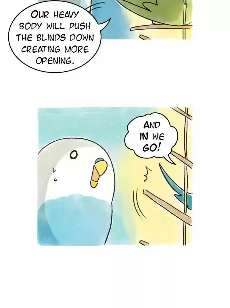 A Budgie's Life Chapter 69: Ep.69: