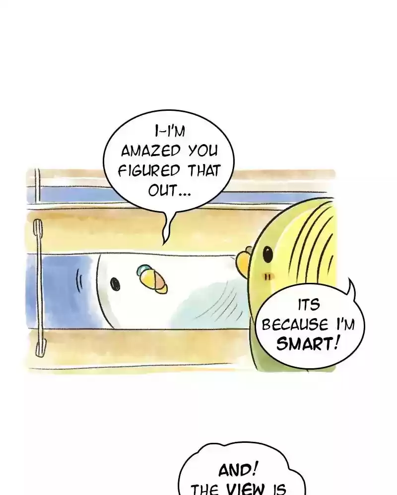 A Budgie's Life Chapter 69: Ep.69:
