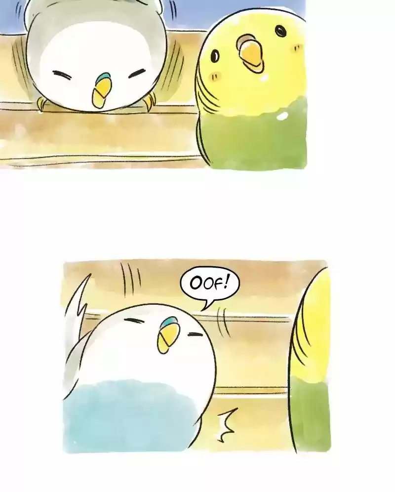 A Budgie's Life Chapter 69: Ep.69: