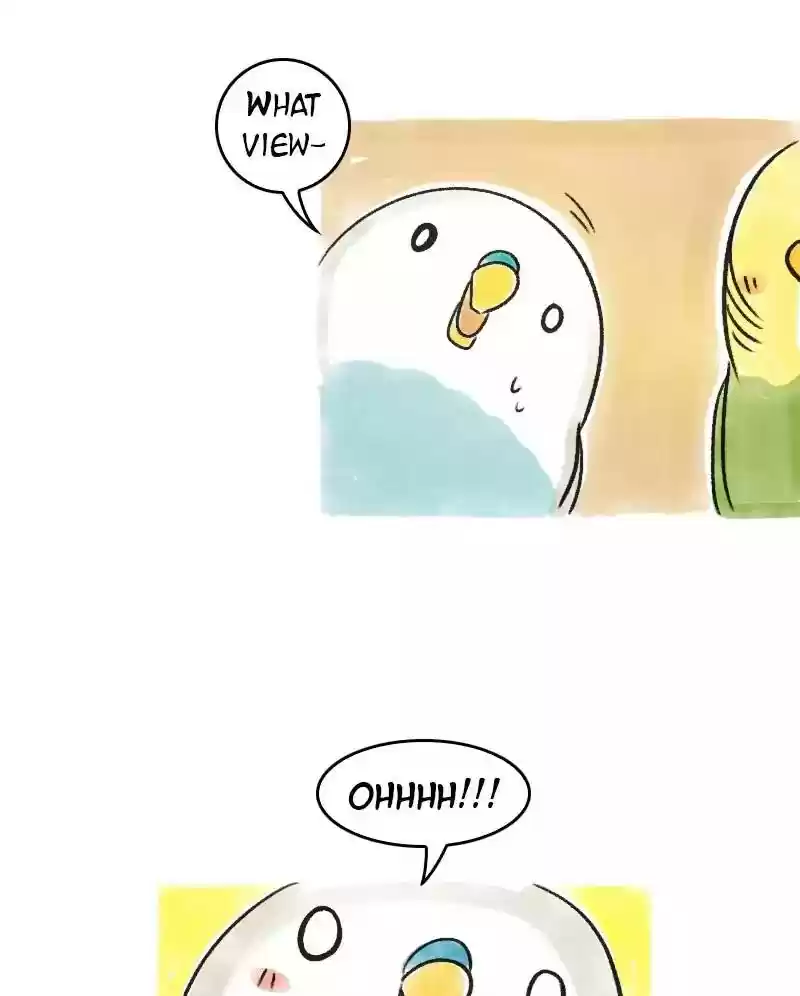 A Budgie's Life Chapter 69: Ep.69: