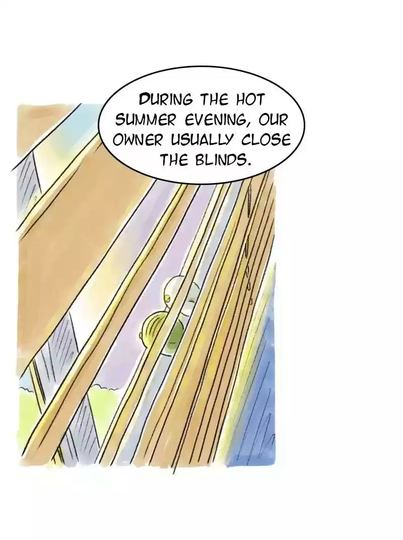 A Budgie's Life Chapter 69: Ep.69: