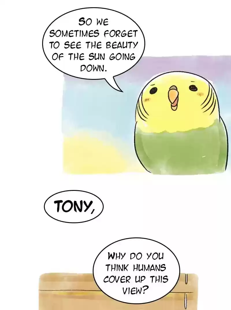 A Budgie's Life Chapter 69: Ep.69: