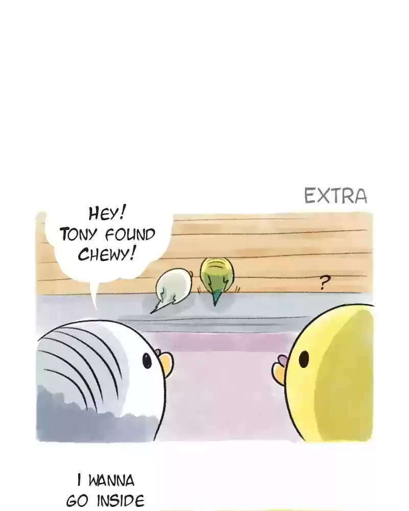 A Budgie's Life Chapter 69: Ep.69: