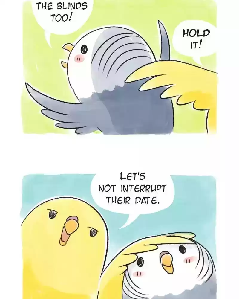 A Budgie's Life Chapter 69: Ep.69: