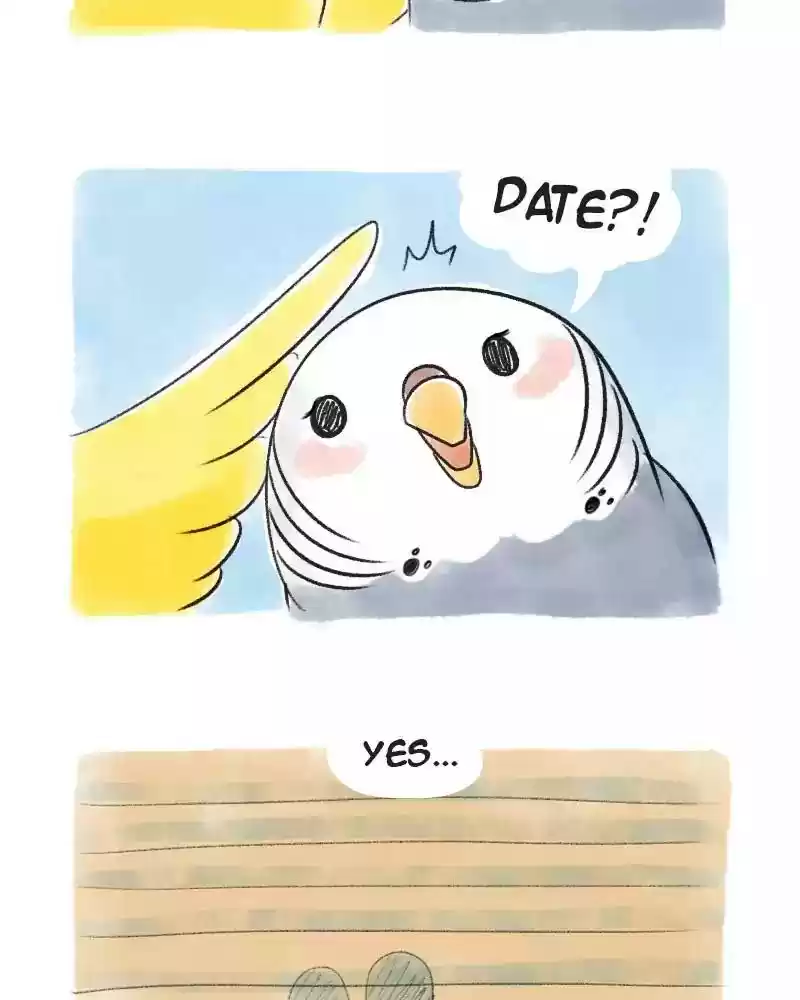 A Budgie's Life Chapter 69: Ep.69: