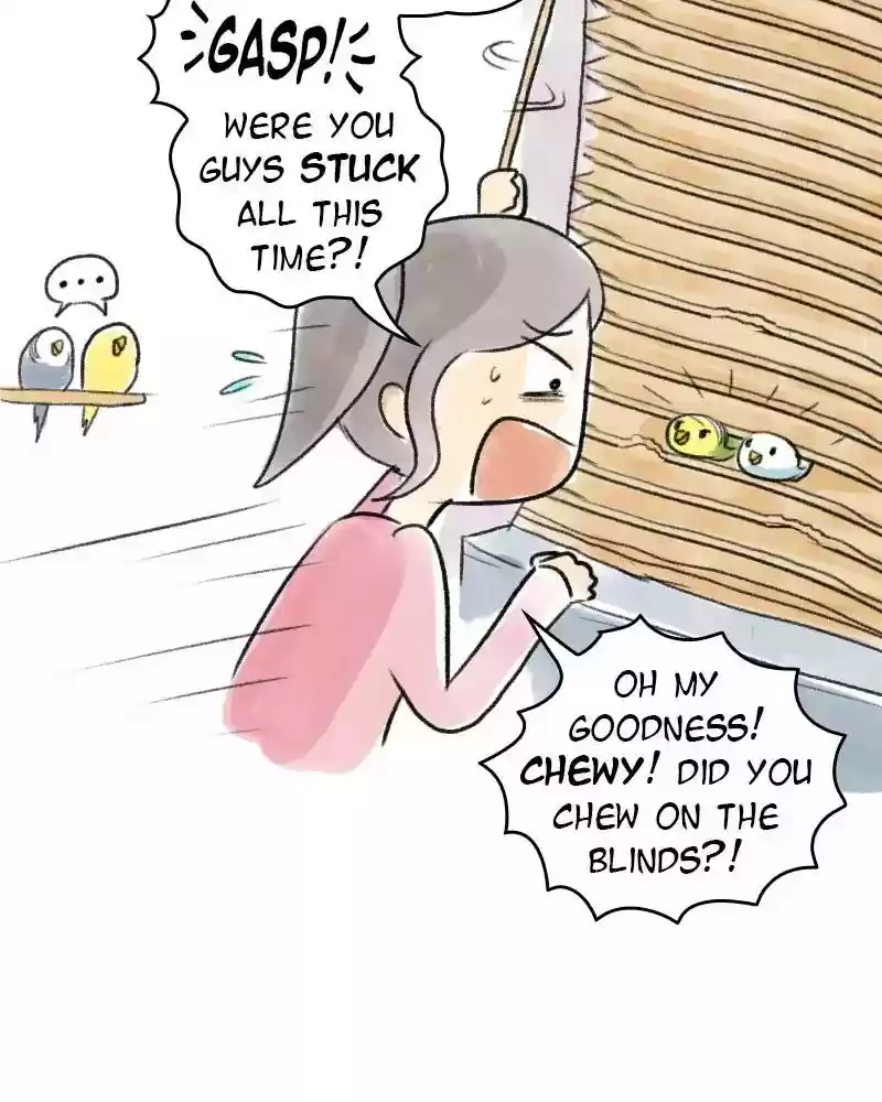 A Budgie's Life Chapter 69: Ep.69: