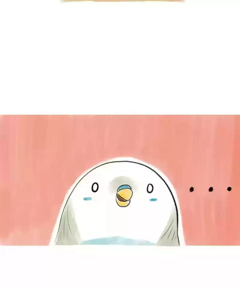 A Budgie's Life Chapter 7: Ep.7: