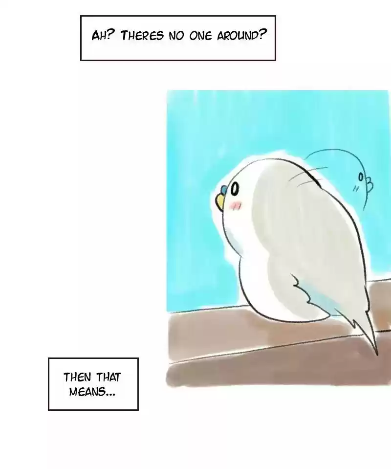 A Budgie's Life Chapter 7: Ep.7: