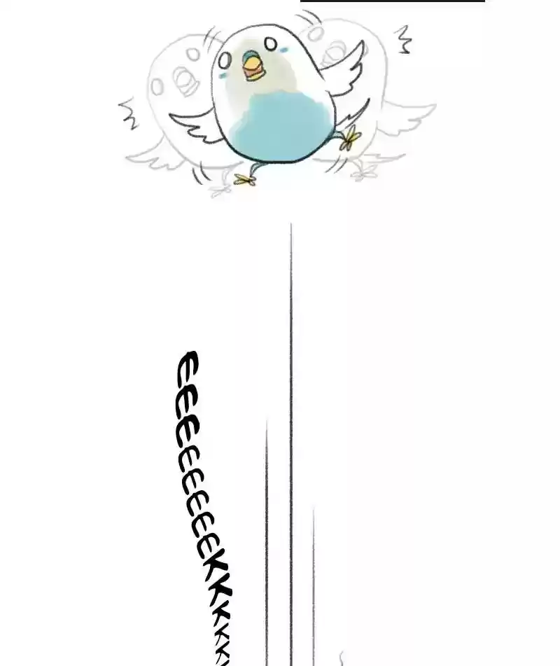 A Budgie's Life Chapter 7: Ep.7: