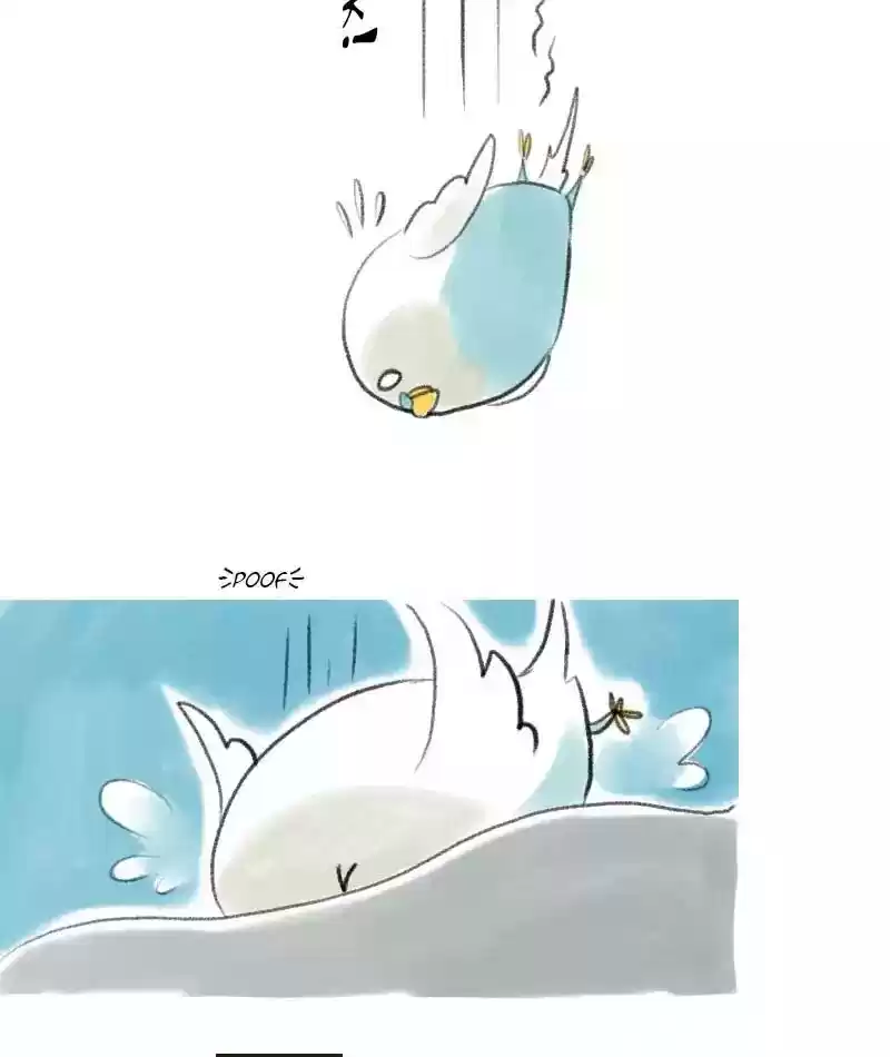 A Budgie's Life Chapter 7: Ep.7: