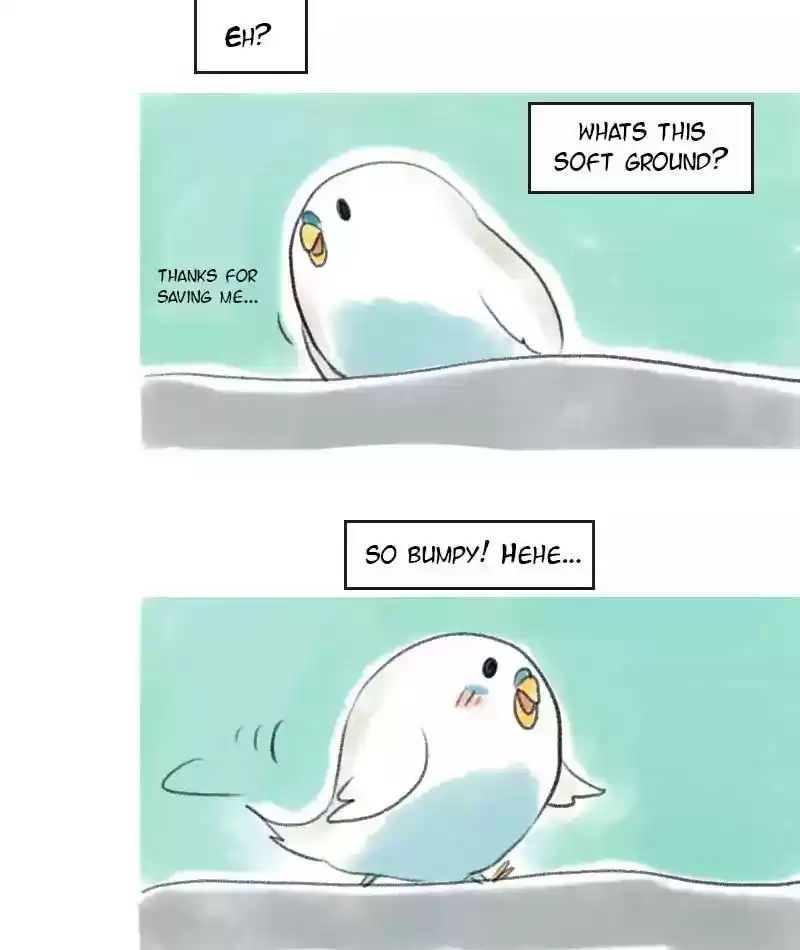 A Budgie's Life Chapter 7: Ep.7: