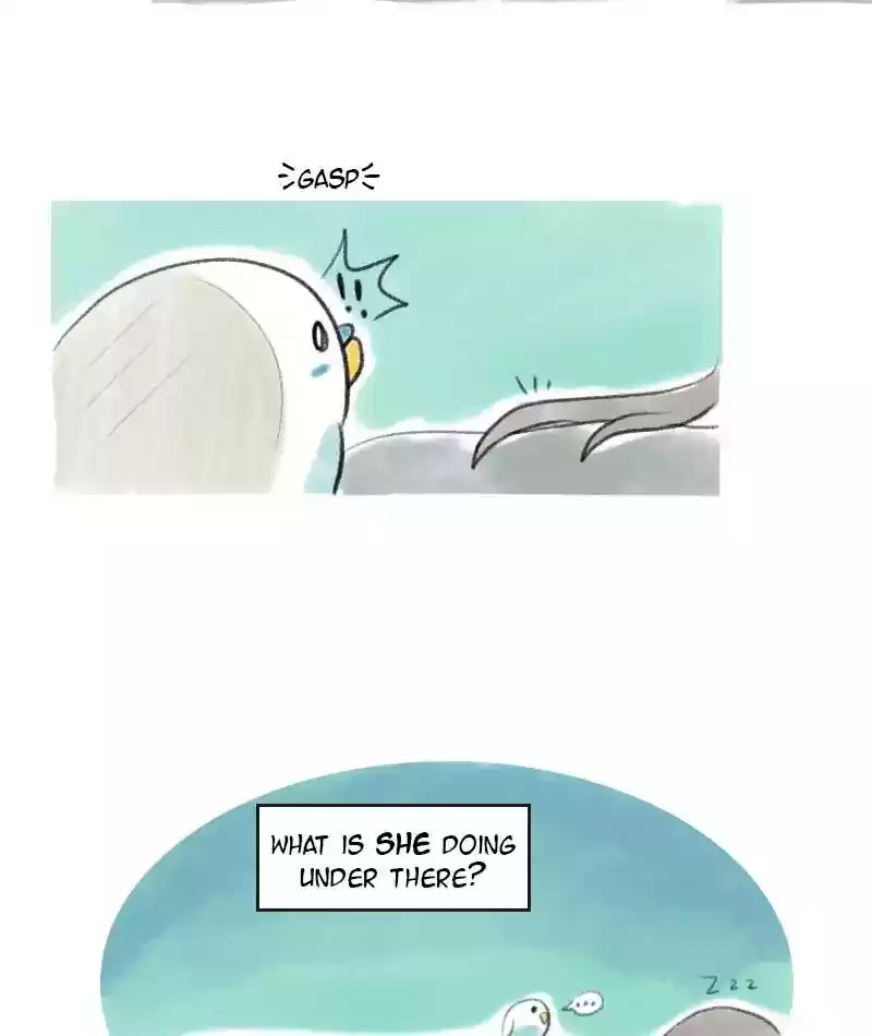A Budgie's Life Chapter 7: Ep.7: