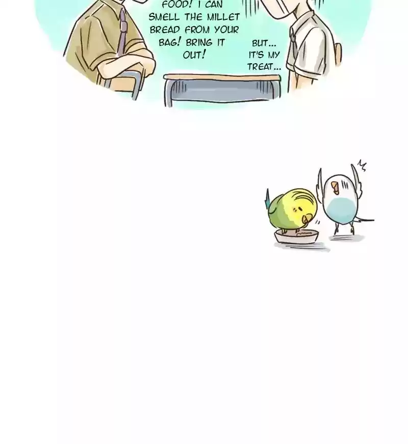 A Budgie's Life Chapter 70: Ep.70: