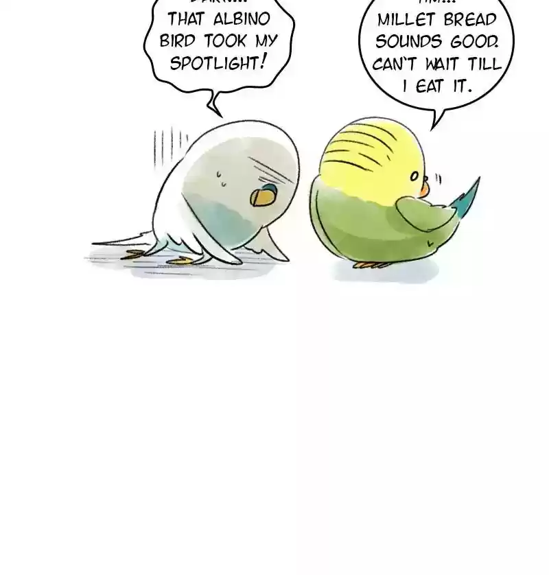 A Budgie's Life Chapter 70: Ep.70: