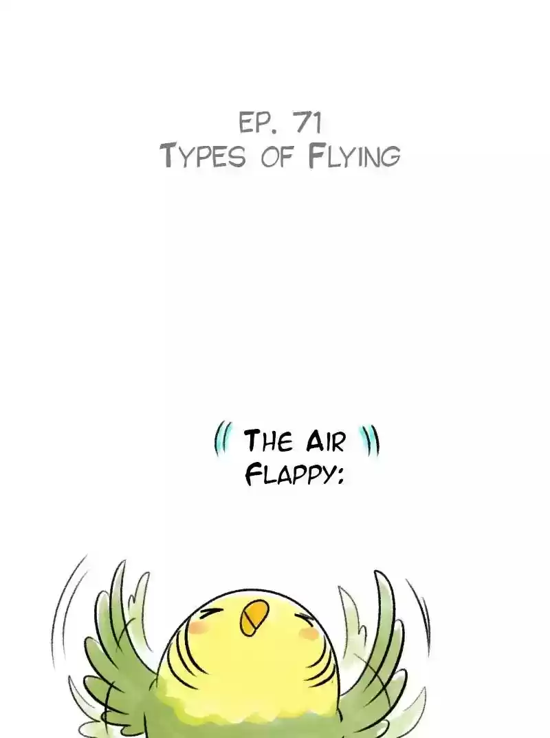 A Budgie's Life Chapter 71: Ep.71: