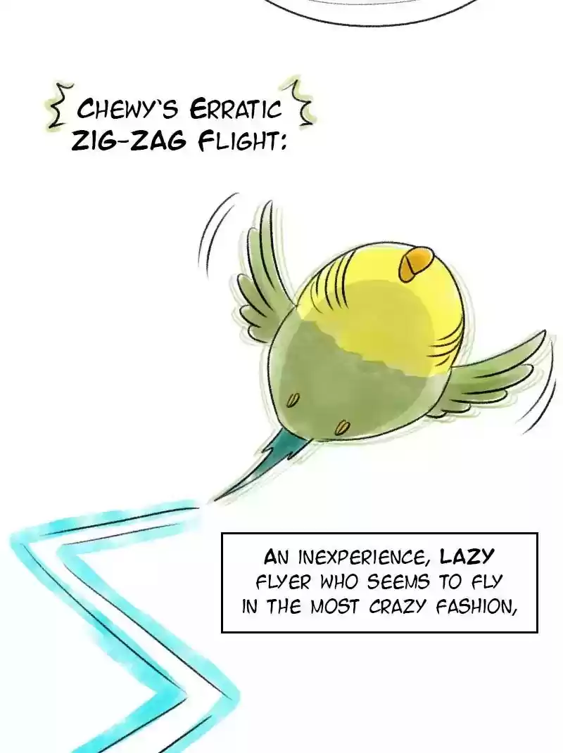 A Budgie's Life Chapter 71: Ep.71: