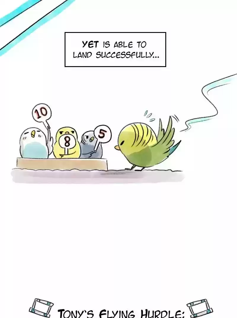 A Budgie's Life Chapter 71: Ep.71: