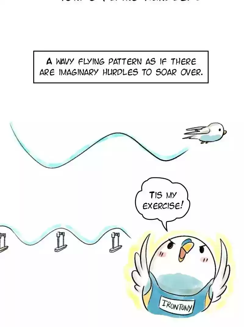 A Budgie's Life Chapter 71: Ep.71: