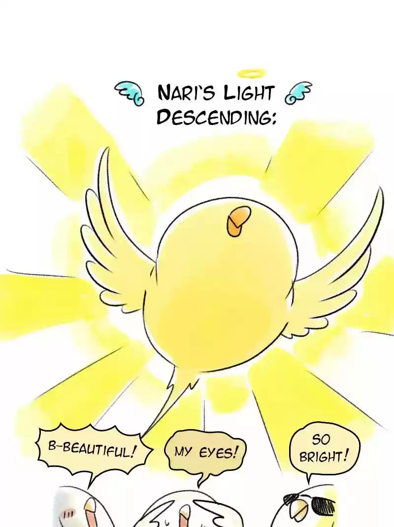 A Budgie's Life Chapter 71: Ep.71: