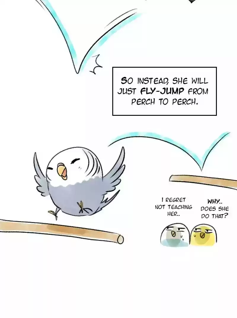 A Budgie's Life Chapter 71: Ep.71:
