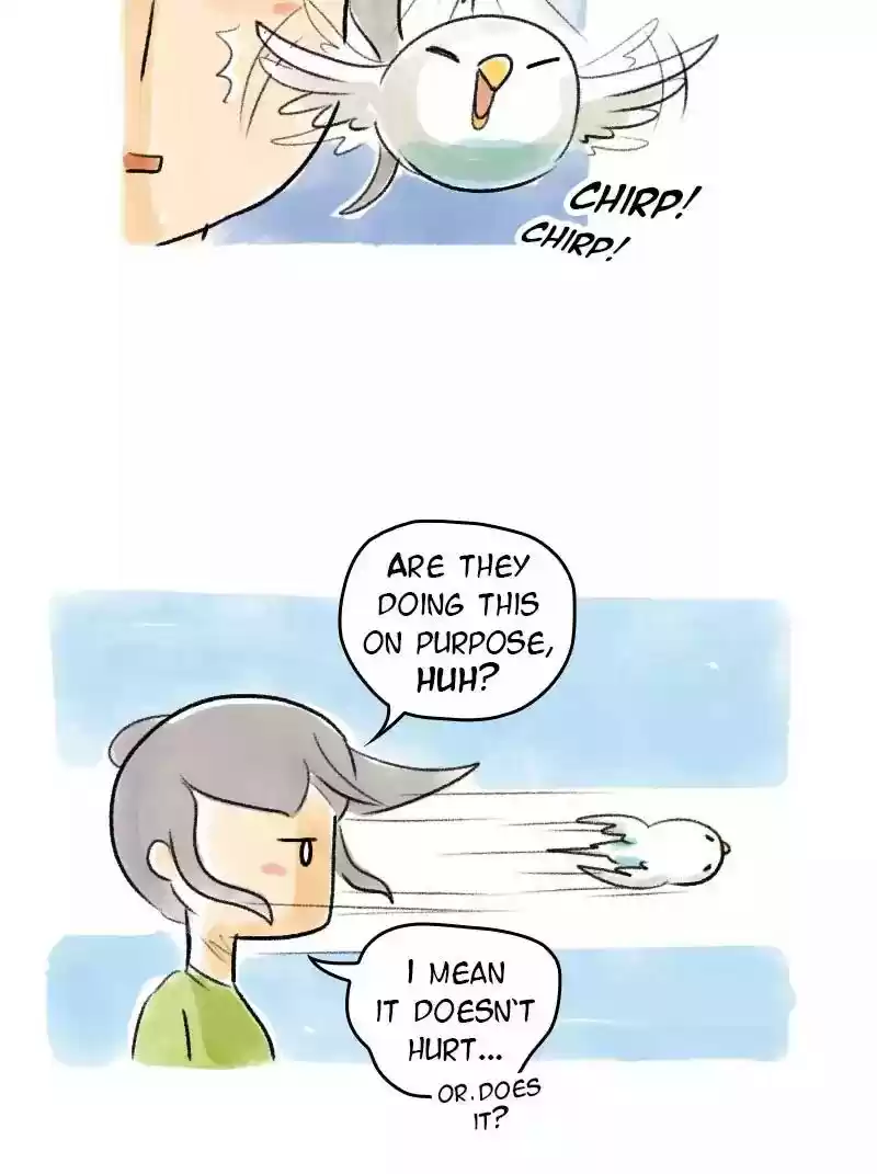 A Budgie's Life Chapter 71: Ep.71: