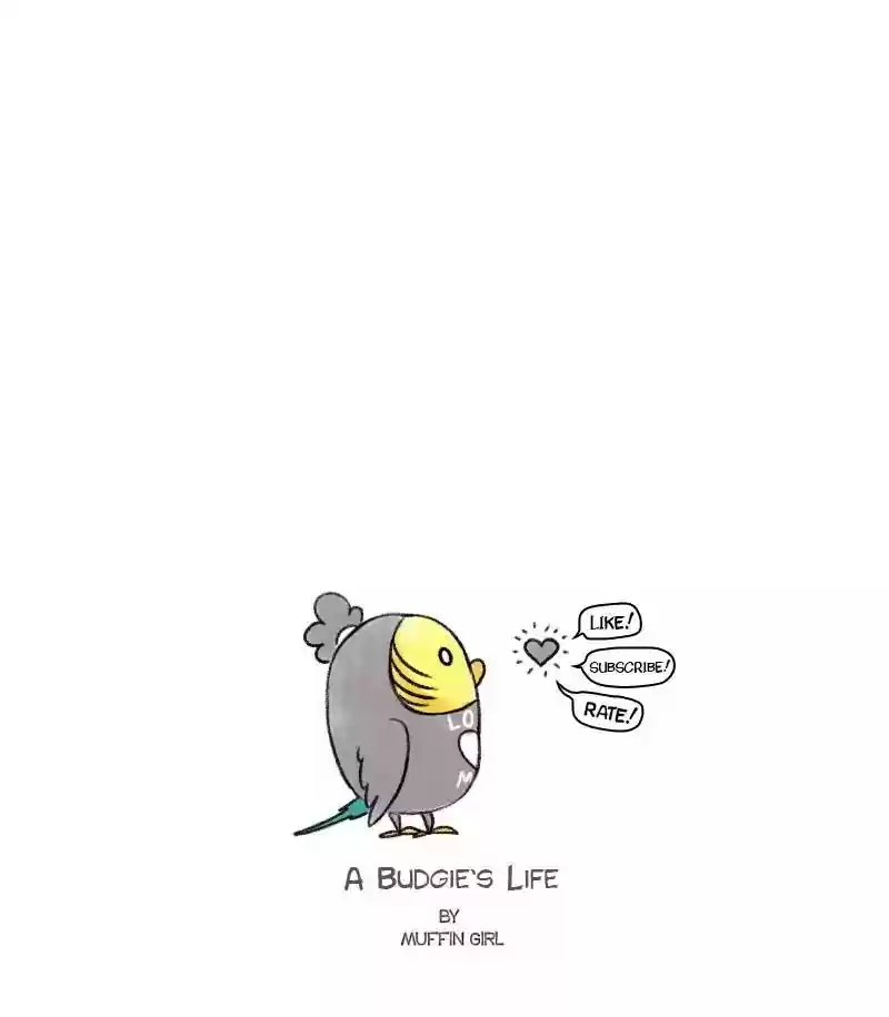 A Budgie's Life Chapter 71: Ep.71: