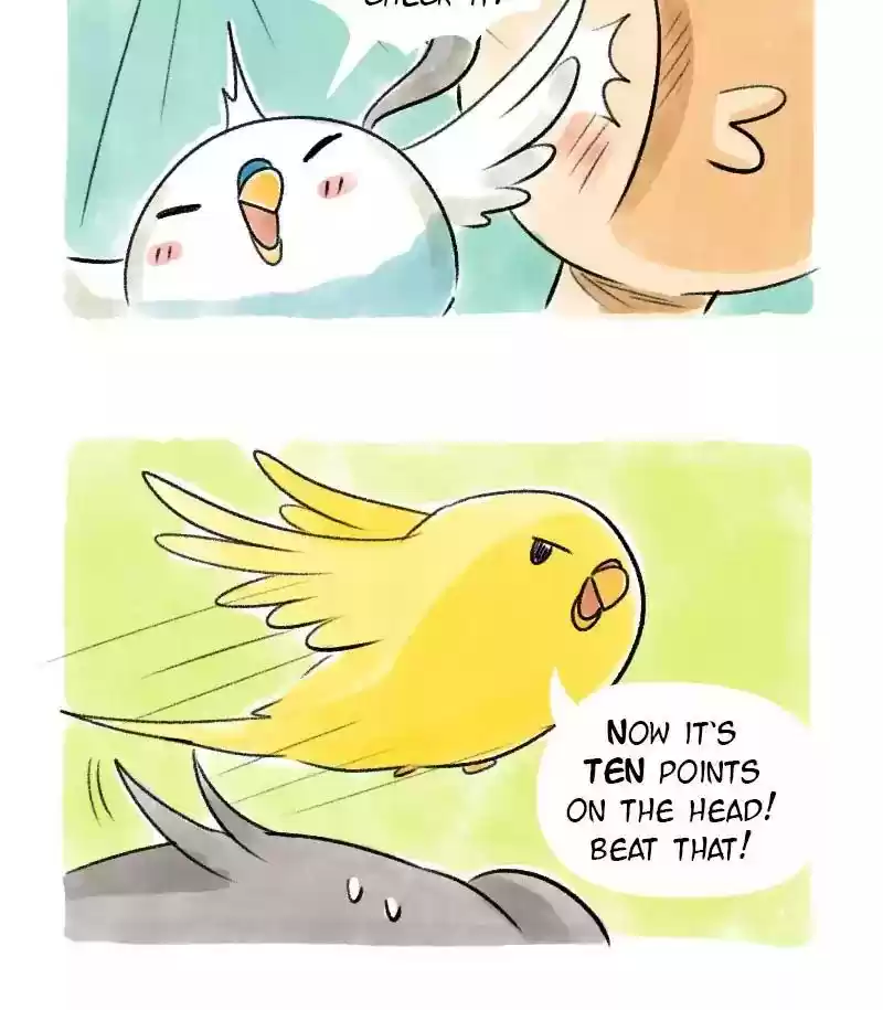 A Budgie's Life Chapter 71: Ep.71: