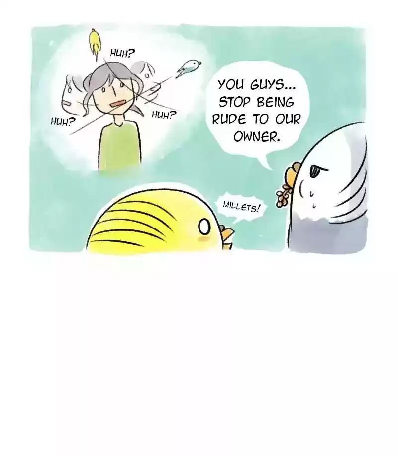 A Budgie's Life Chapter 71: Ep.71: