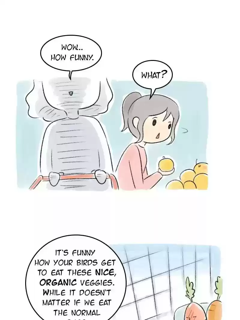 A Budgie's Life Chapter 72: Ep.72: