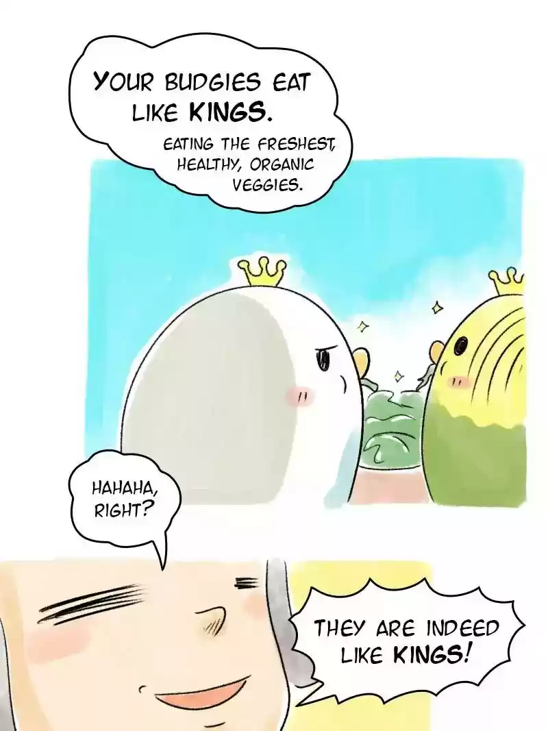 A Budgie's Life Chapter 72: Ep.72: