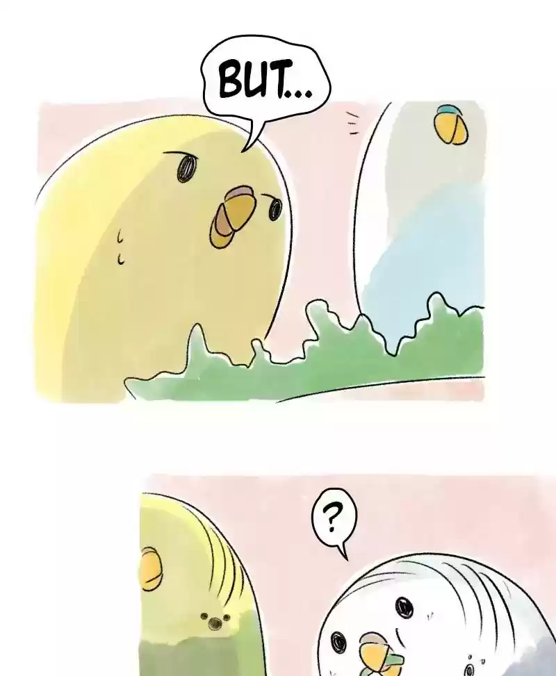 A Budgie's Life Chapter 72: Ep.72: