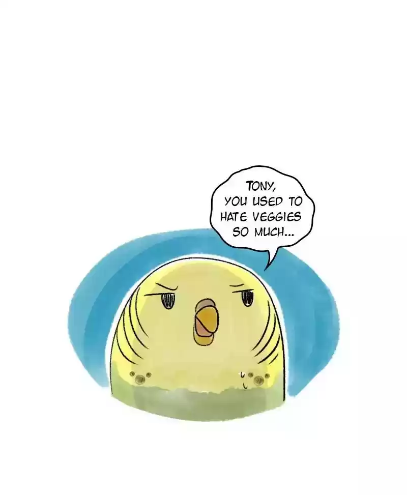 A Budgie's Life Chapter 72: Ep.72: