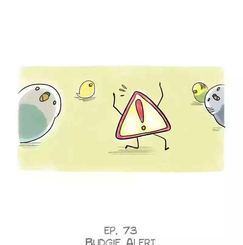 A Budgie's Life Chapter 73: Ep.73: